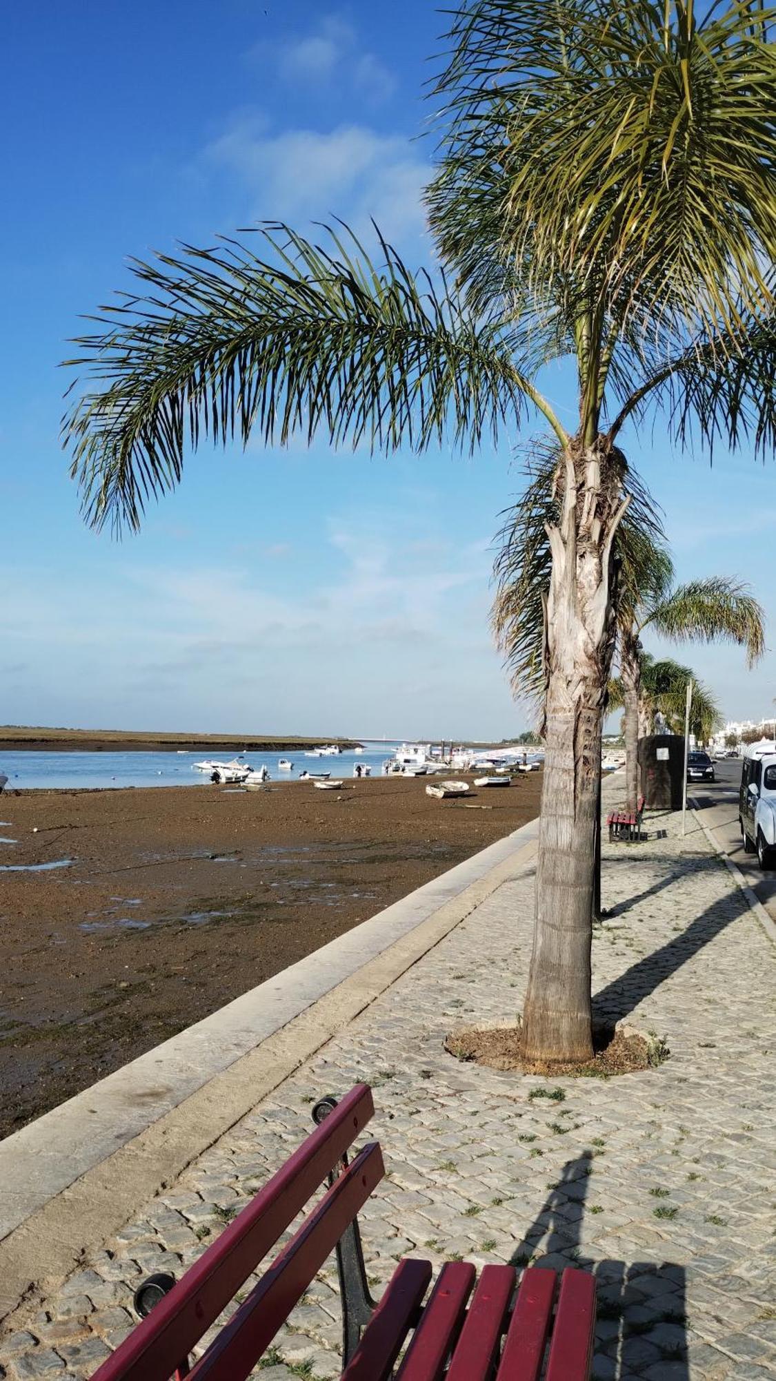 Apartamento Casinha Secreta - A Gema Escondida Da Santa Luzia Santa Luzia  Exterior foto